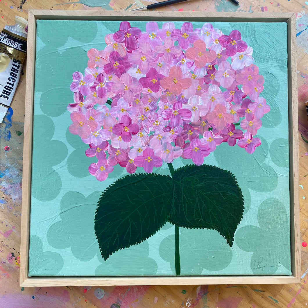 Pink Hydrangea