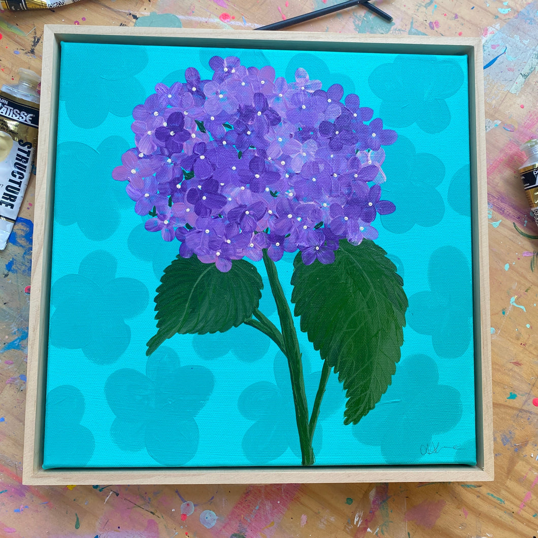 Purple Hydrangea