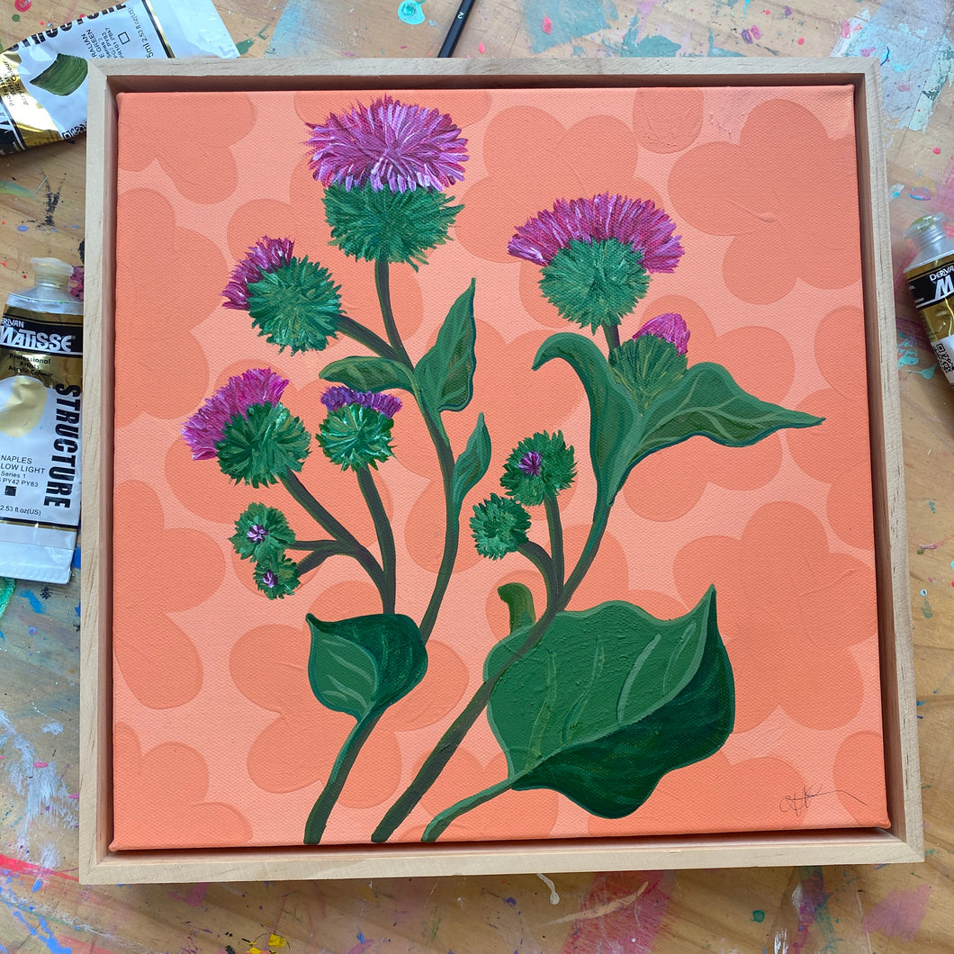 Scottish Thistle