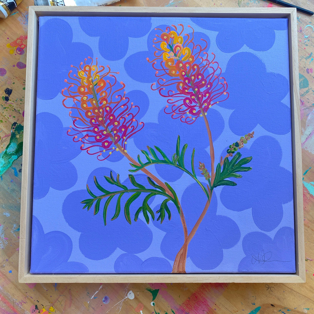 Grevillea juniperina